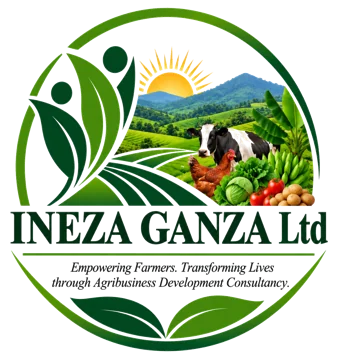 INEZA GANZA Ltd logo